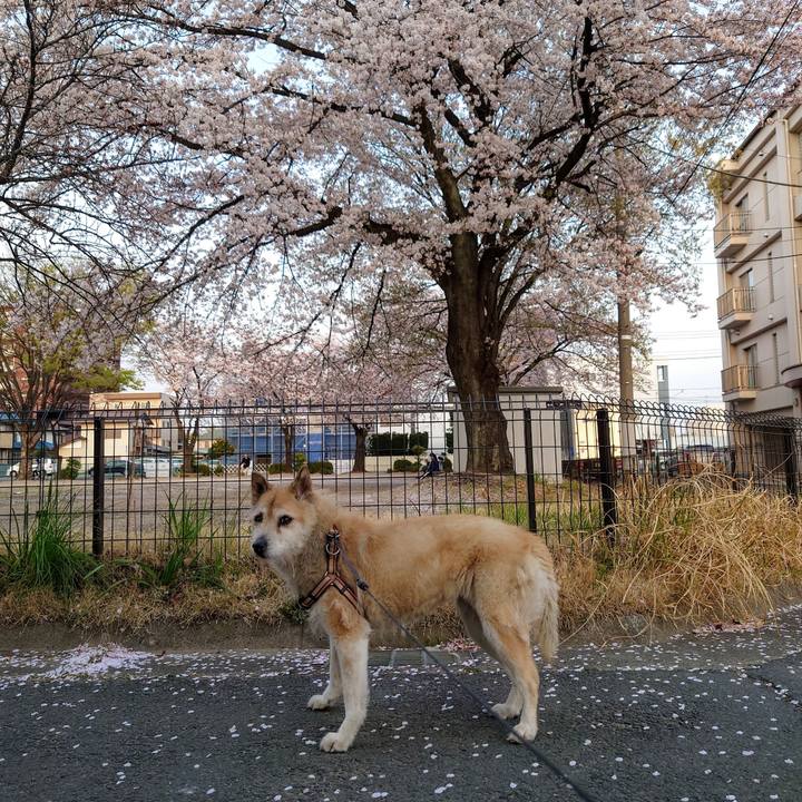 E053e64d 971b 4de6 a05c 30ca63a8c1cf 1617268063521