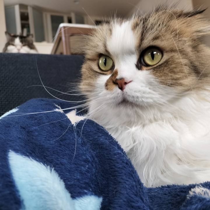 E0541bbe 0f06 4f9e 9c04 e23158377097 1763878568090