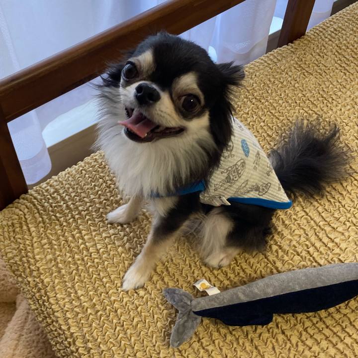 E0541c3e 9eca 497e a0da a6513fb8d9f6 1653825968817