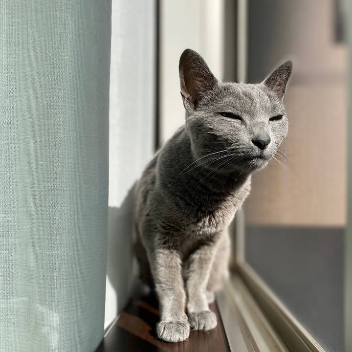 E05435a6 7529 441a 981c 1f1c2a32b9df 1579408927264