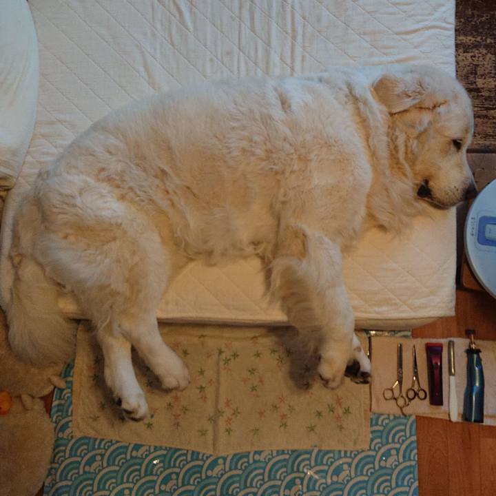 E0547ee5 0fc6 4ae2 81f0 57aaf2be21c9 1564302567986