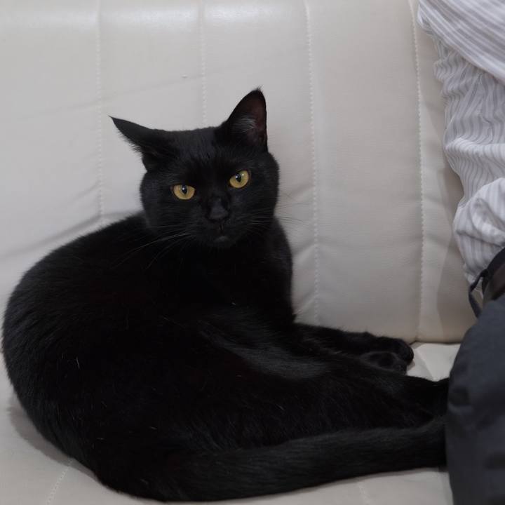 E0548f9d 3cf6 4635 a6e0 dadf3daa5166 1596200643265