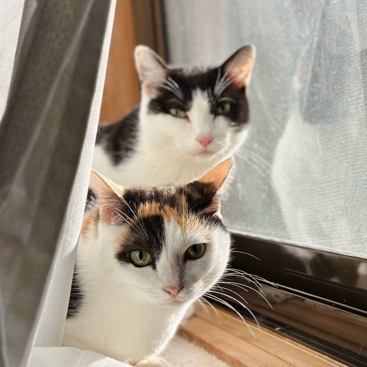 E0549727 69a1 4f6a ab03 0f3b96b11196 1700619636852