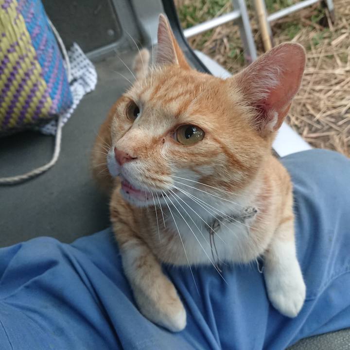 E0549d75 7ddc 462f acba 79717624880d 1593202846242