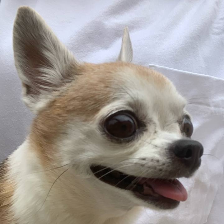 E054c37c 806e 46c3 bfff c8f4aa4f0d6e 1633703913497