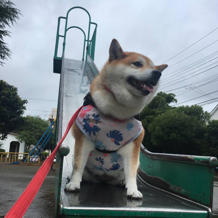 E054e611 22e4 4670 b424 0bc408091148 1594689714142