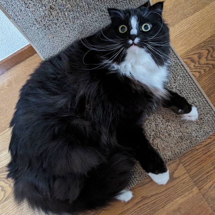 E054f4b3 2c8e 4d53 ad56 8ed0c62312f4 1712838349164