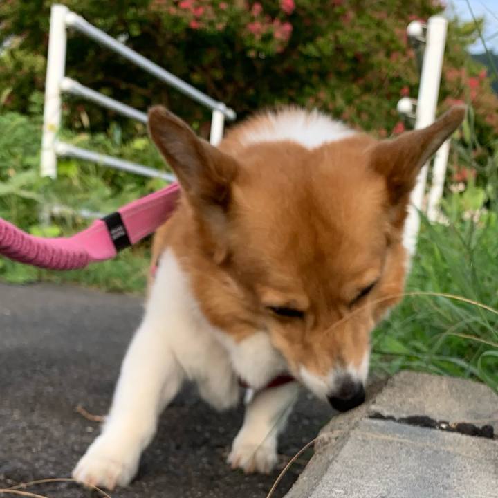 E0552316 90fc 40a4 b03e c002ca71152f 1692225271859