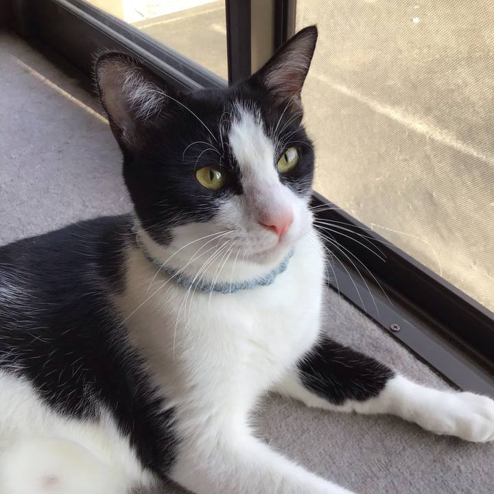 E05524c7 83fc 4c6a bf3f 81c86f9378ab 1662979411955