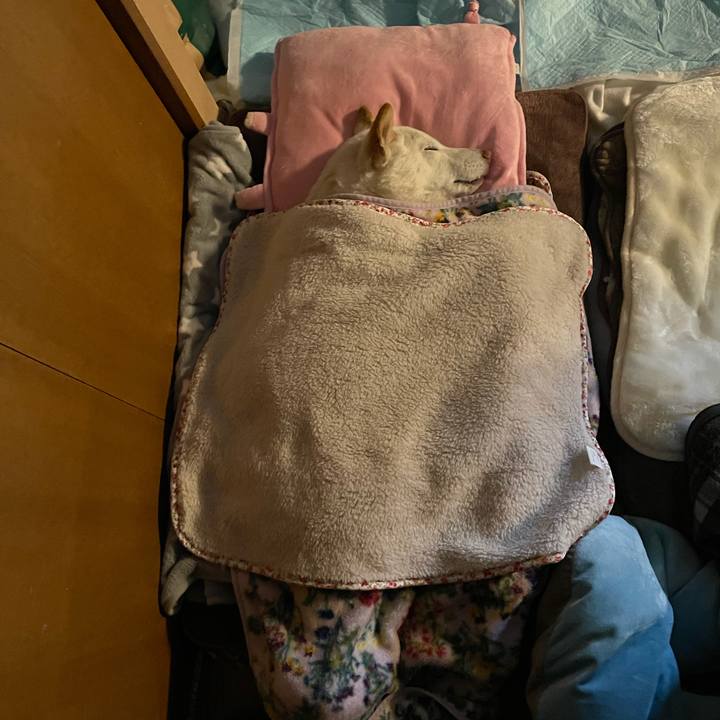 E05544c9 c2f1 41ea 89cd ebafcbdb9bf1 1642896992317