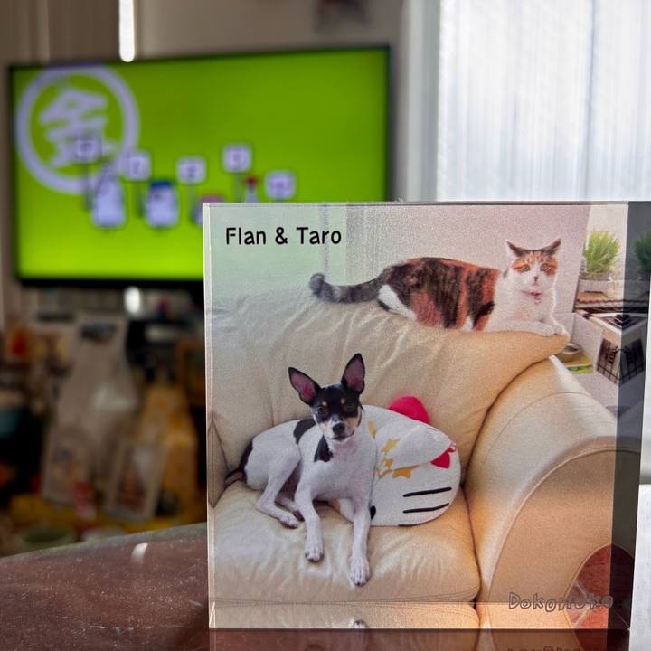 E0555ec0 3717 4f2d adaa ef4adc126905 1752184629867