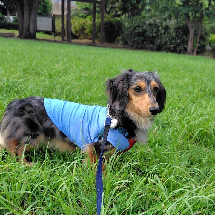 E0557917 5c63 4cd3 8296 700521e3dd69 1751195143109