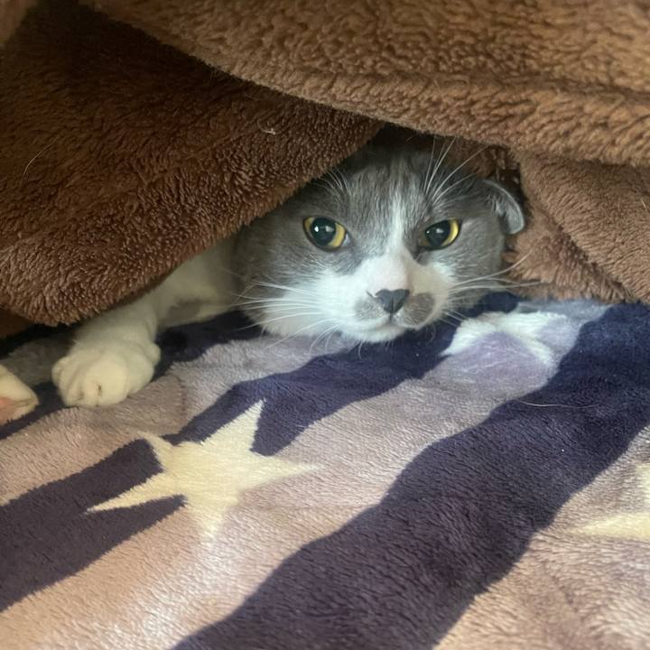 E055a05b 9149 41df ac7a db5a719e0b01 1701905345118