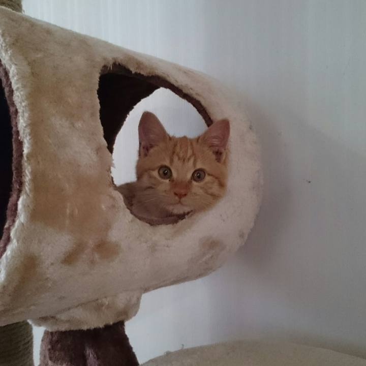 E055b545 451e 4240 accd 5f13f2344a73 1541541824240