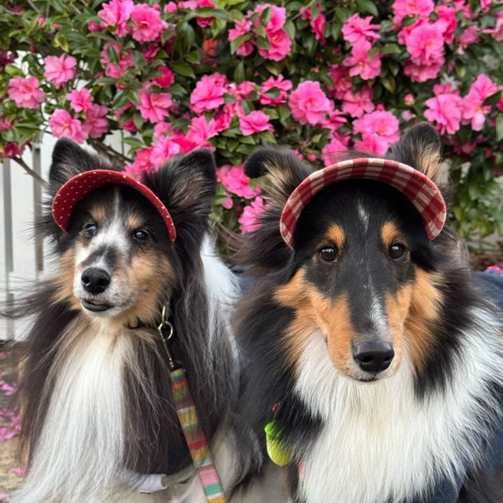 E055bebe a43b 420e 9a87 00d8ce2de0c4 1765475232296