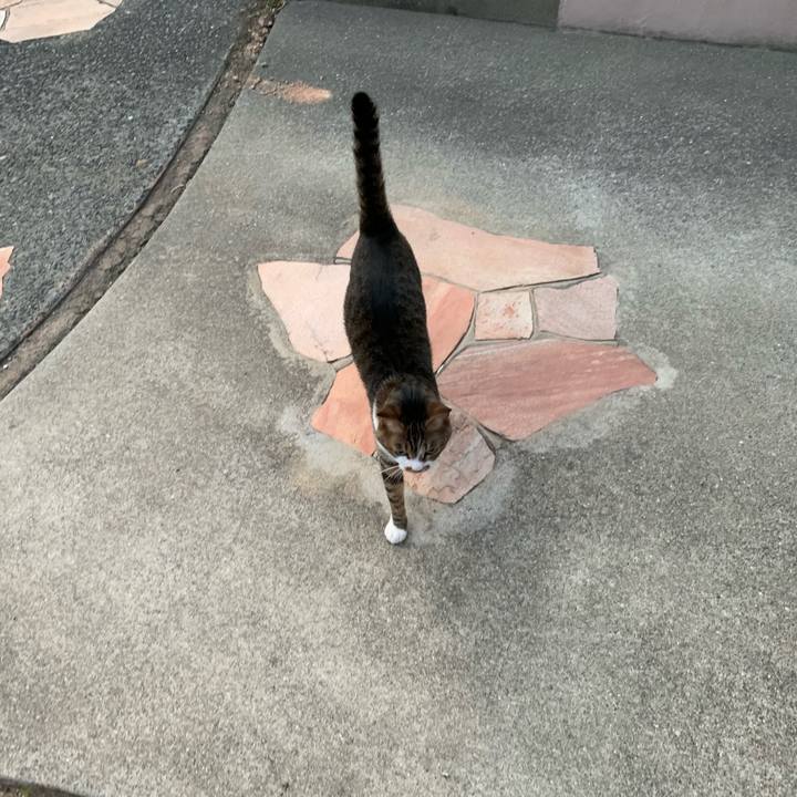 E055d9a0 fb9a 4603 8189 d1fd48d93e28 1557834884078