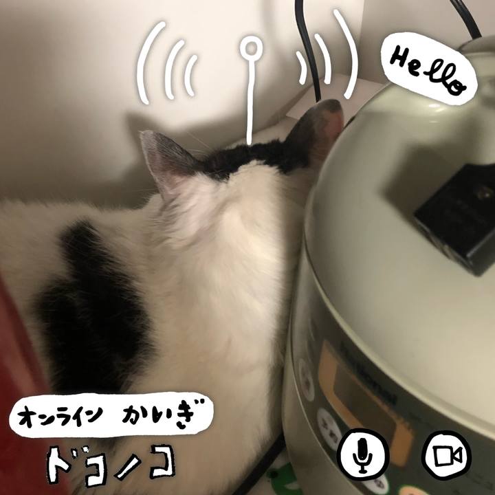 E055dfd6 caaf 43b9 8a42 06ef45e42f96 1592918874977