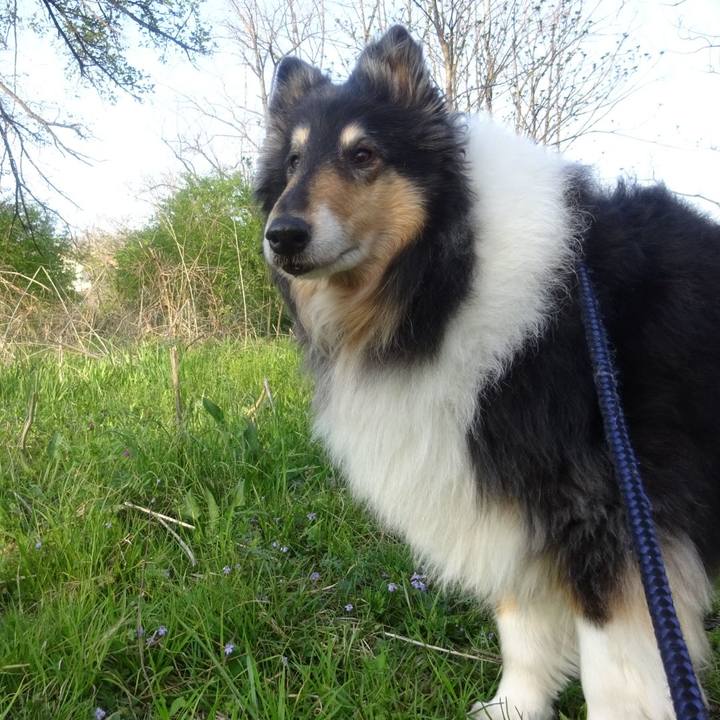 E055e9d3 e709 4c32 aa80 9a29c710c0fe 1585835825711