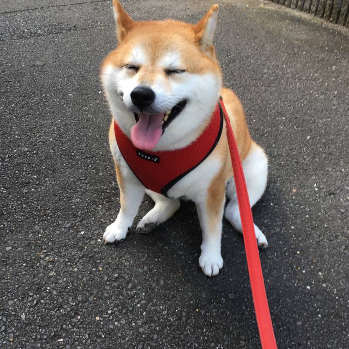 E0562e4f 8a56 4afb a827 218d97396dc0 1598658259730