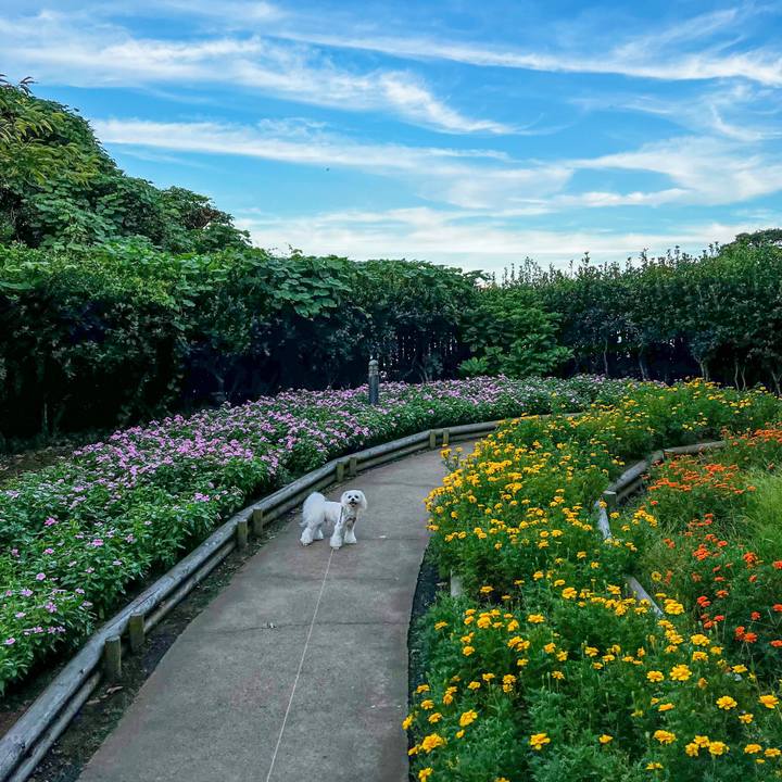 E0563942 b815 4530 957f 8056097579c6 1663651312826