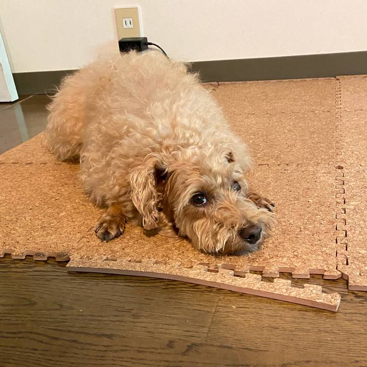 E05657ae 65c0 4f3f b6bc 3c5405ef6e08 1658441713958