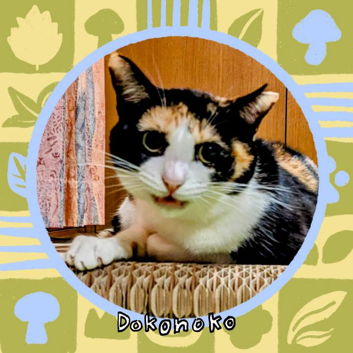 E05664a0 f542 41a4 918b 0c9c0661af91 1761990334231