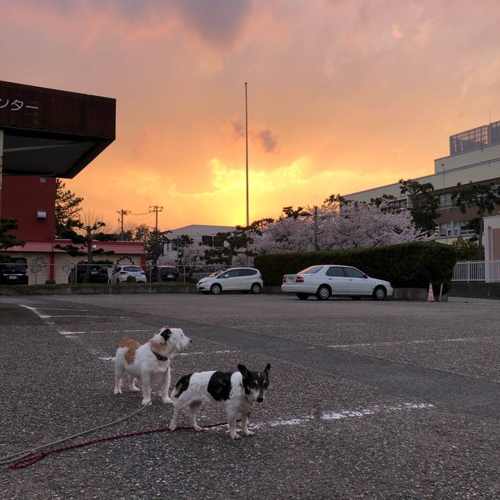 E05665b3 52f9 4451 ac95 47b47076b415 1586352408752