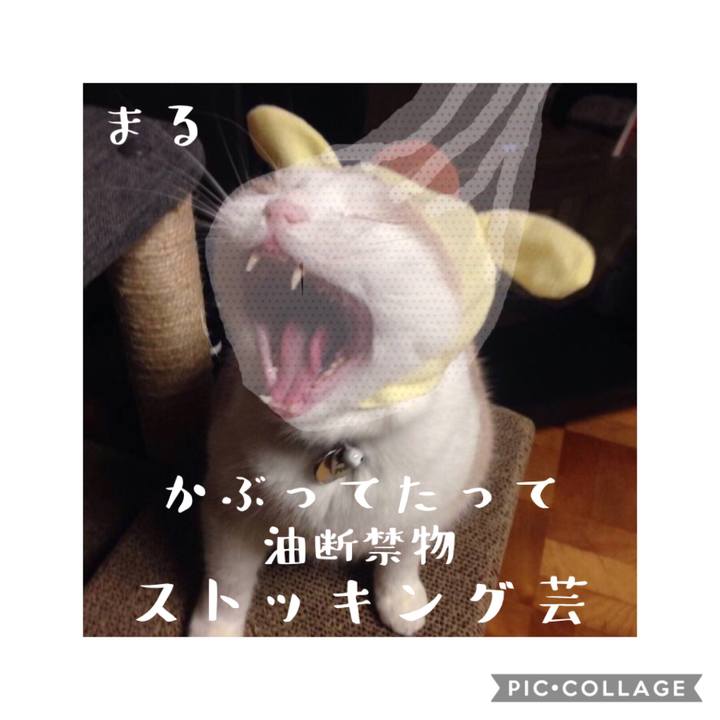 E0568733 444a 4fec a4e1 9358180a54e9 1568088733419