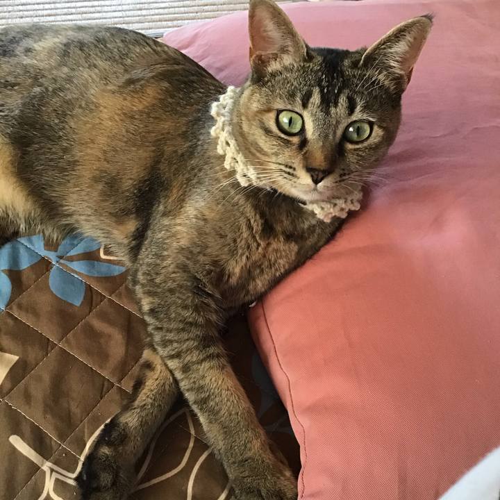 E056d2c8 9ab1 460f a7bf a269ceba2158 1589684278761