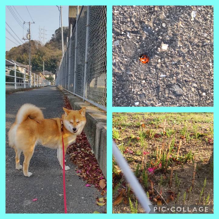 E056ee16 bc89 43f6 8b54 80434f594c00 1742977450662