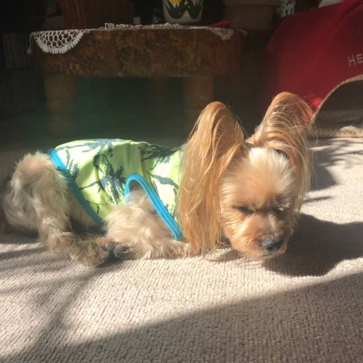 E05748f1 7f8d 4dae 8ad2 35c2ef720609 1552778789314