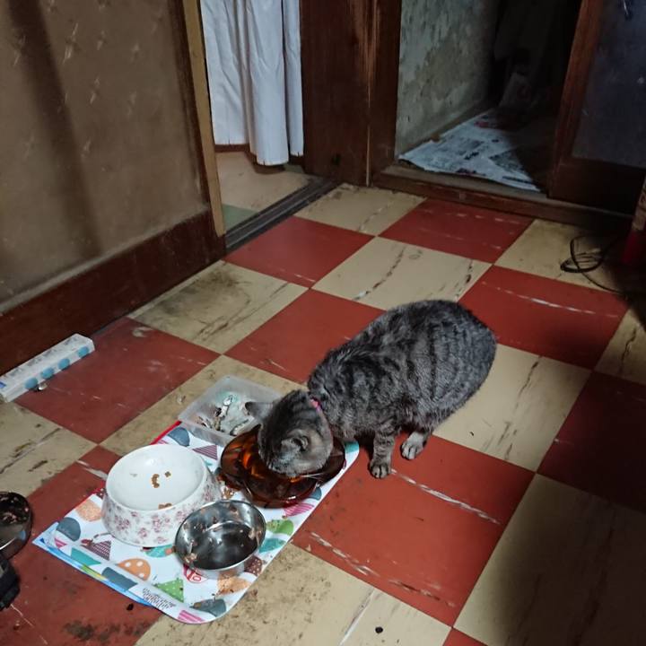 E0574d49 d288 4e71 af36 71562591ad48 1590954346757