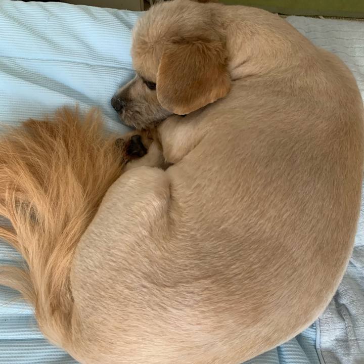 E0575d31 f574 4805 815c 3f539310a4af 1592052069726