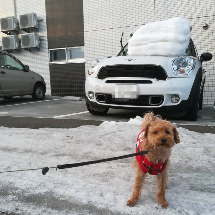 E05807c0 8e8c 4637 92b6 3e1f3d0b3f3d 1551739774736