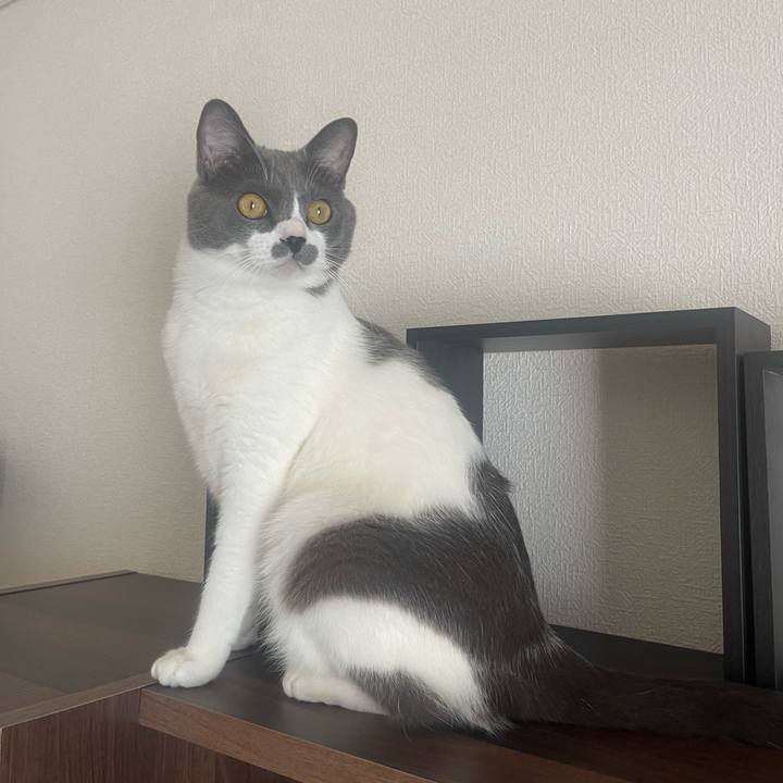 E0581a4c 91ff 4d86 8cca 58fdcf0be84f 1665883699144