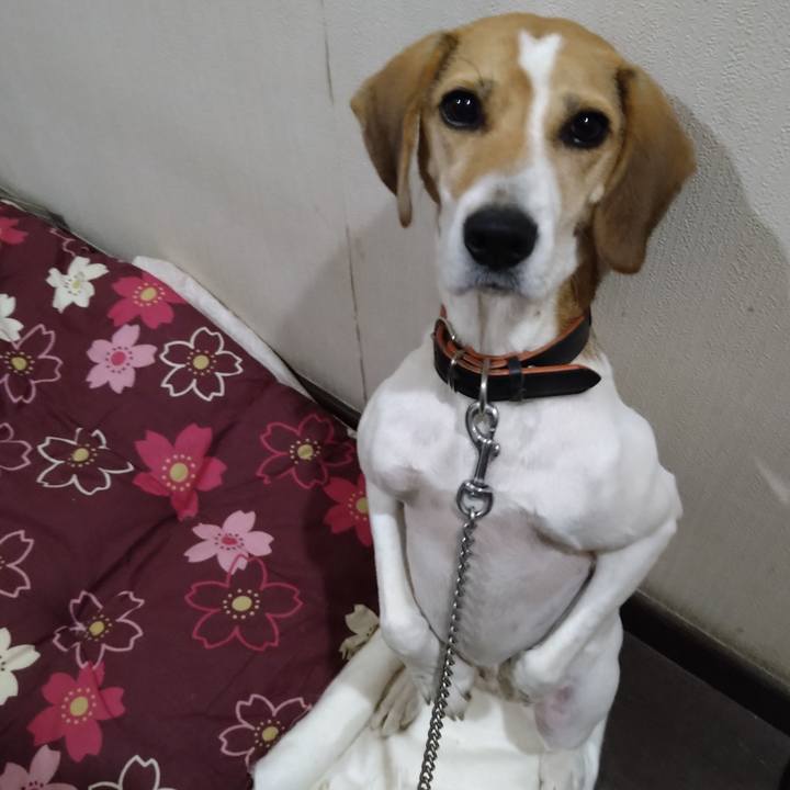 E05827e8 14e6 4bb2 bbdd 628397f2d562 1635670250430