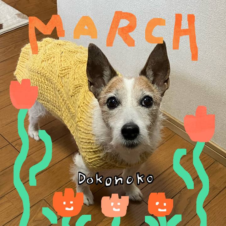 E0585730 0cc9 40c6 90a2 6072464c3a4a 1741393745966