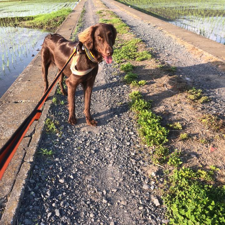 E0587550 2675 48bf 8a45 6dbe033741f9 1589721316104