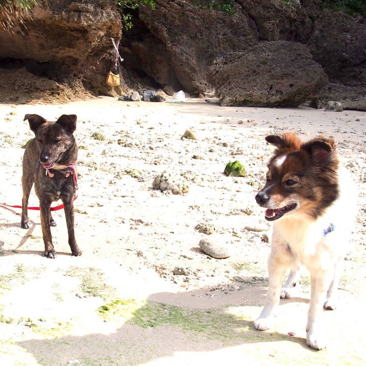 E058dfb2 e7b0 462f 8e98 ec0992182988 1581384432815