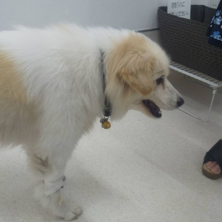 E058efd5 9047 4ef8 a4c5 d1679deaa22a 1631268786433