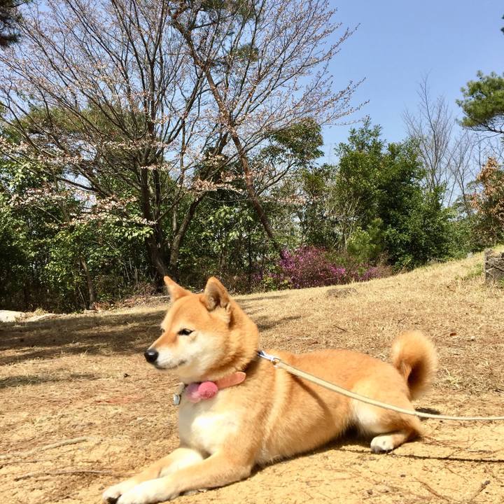 E0590524 f0fa 4d16 bbdd bb3285690157 1522479423596