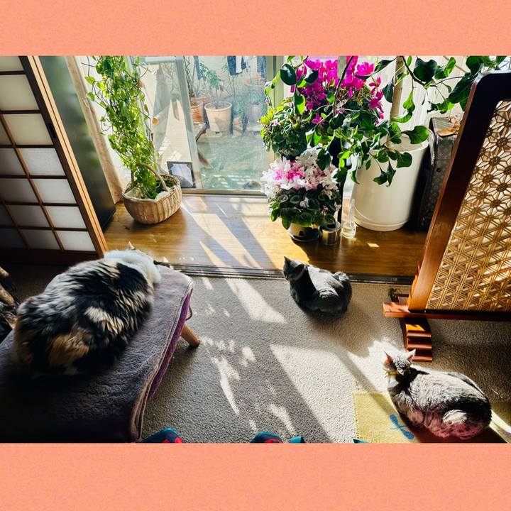 E059117b f5fe 45f7 a853 c2487c9455ca 1769389859043