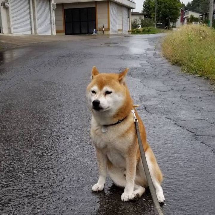 E059119e 71f6 4663 8878 91bd9e5bfcae 1571022361423