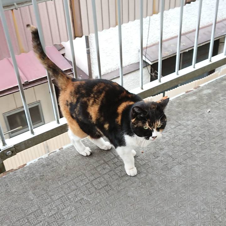 E059a818 c72c 49f6 85a0 443253166f90 1676771541078