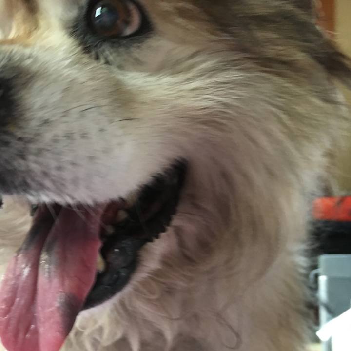 E059c05a 2651 4dc4 bea8 a3bf71fd113d 1612486406104