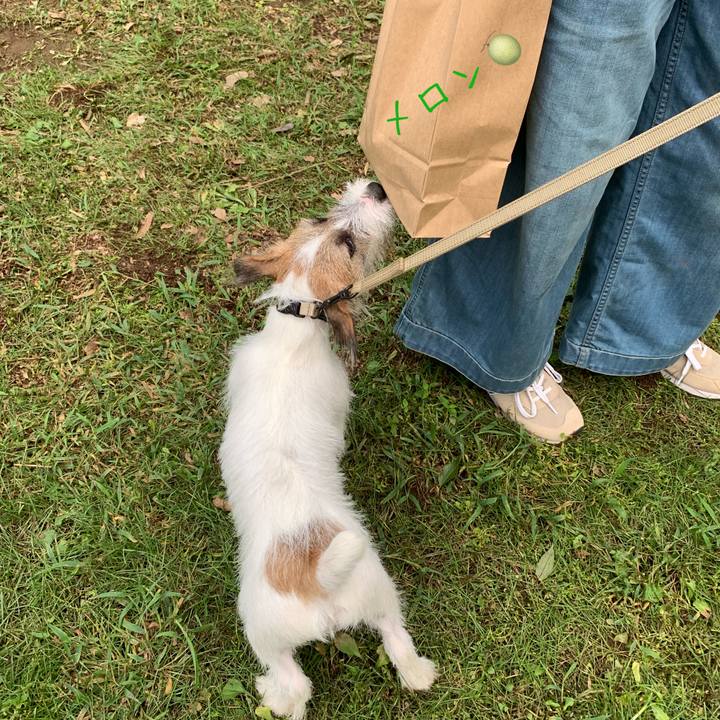 E059d141 1421 4b46 8e0c 3bb6cb7c99df 1566646462591