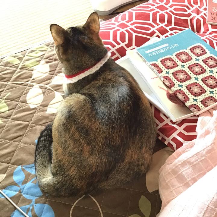 E059e8c3 0f88 45aa 9fdb 2f25a5e301d1 1611027324749