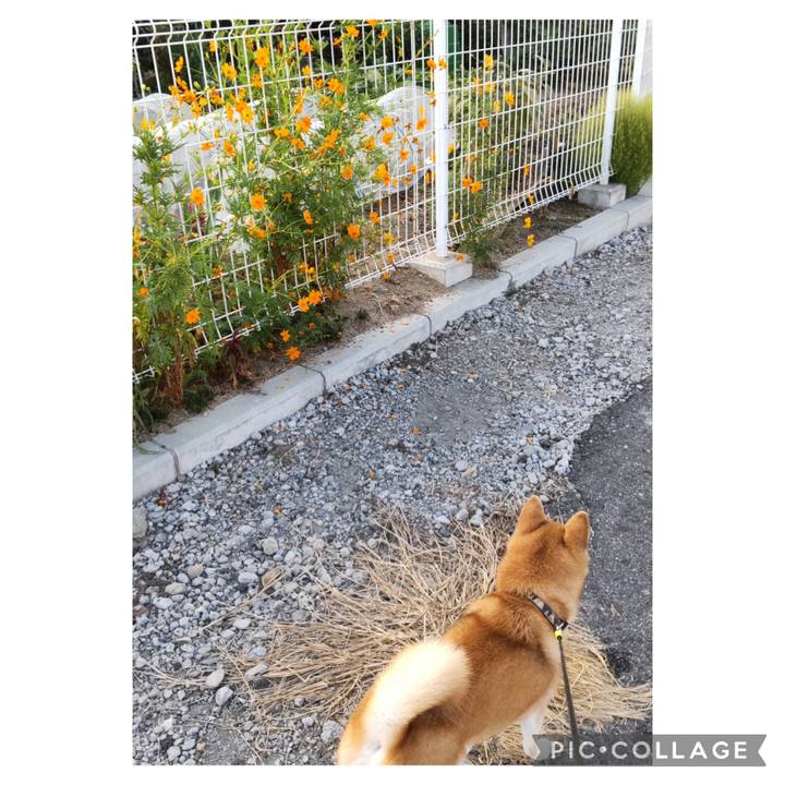 E05a0584 56ac 45e9 8030 e8e66bfc72ce 1727738727832