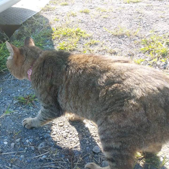 E05a20fb f4ec 4caa 87e9 c36dc0bc3bf4 1601601319646