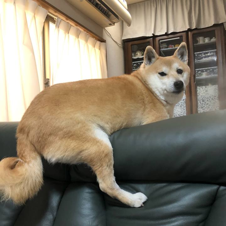 E05a580f 80f0 43e7 a034 0b7c0b07de78 1581000390627